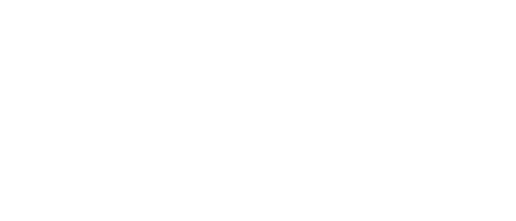 Bronte Vehicles